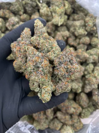🇺🇸 SOUR TANGIE REAL CALI USA INDOOR 🇺🇸