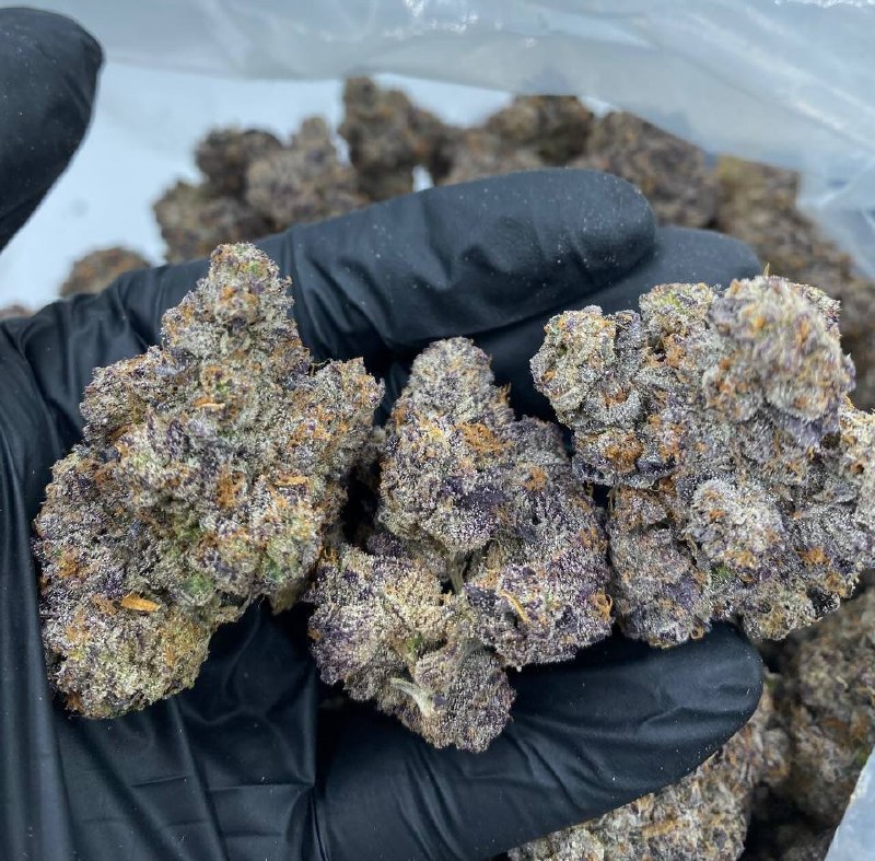??LEMON BERRY SHERBET CALI USA EXOTIC??