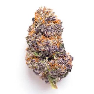 ??GELATO X ZKITTELZ CANNABIS CUP CALI SPAIN??
